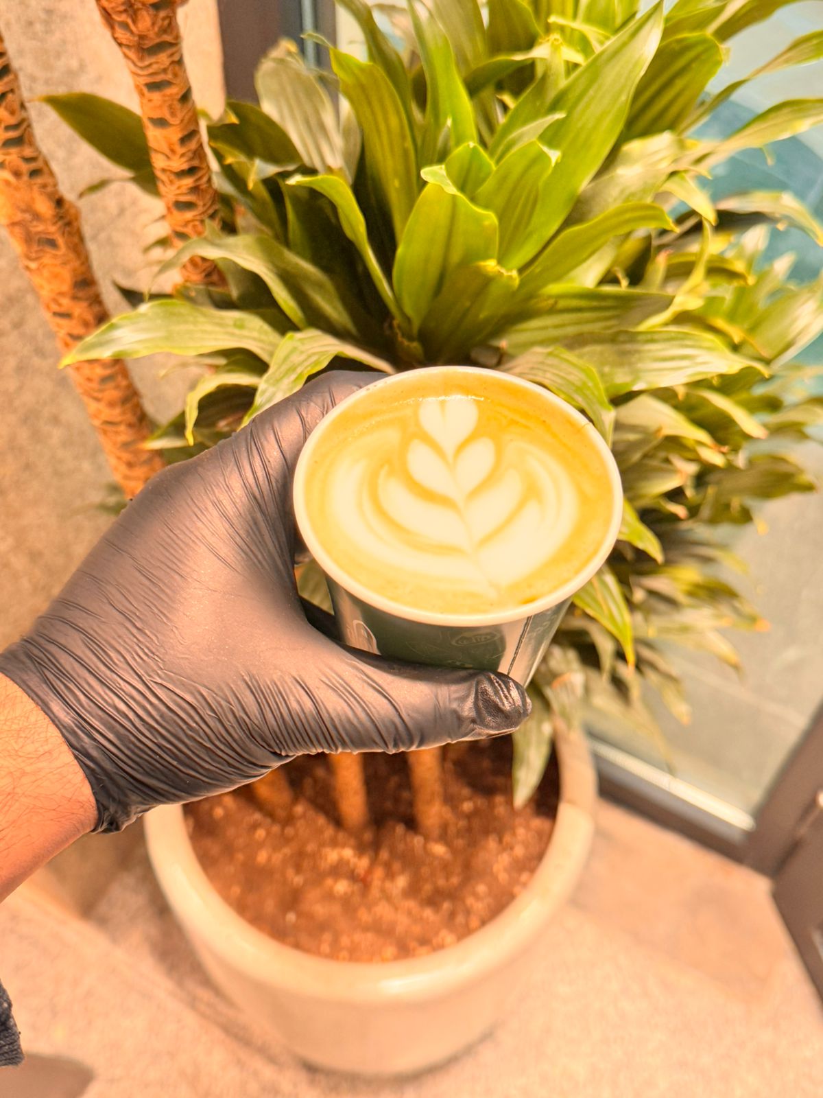 Latte Classic